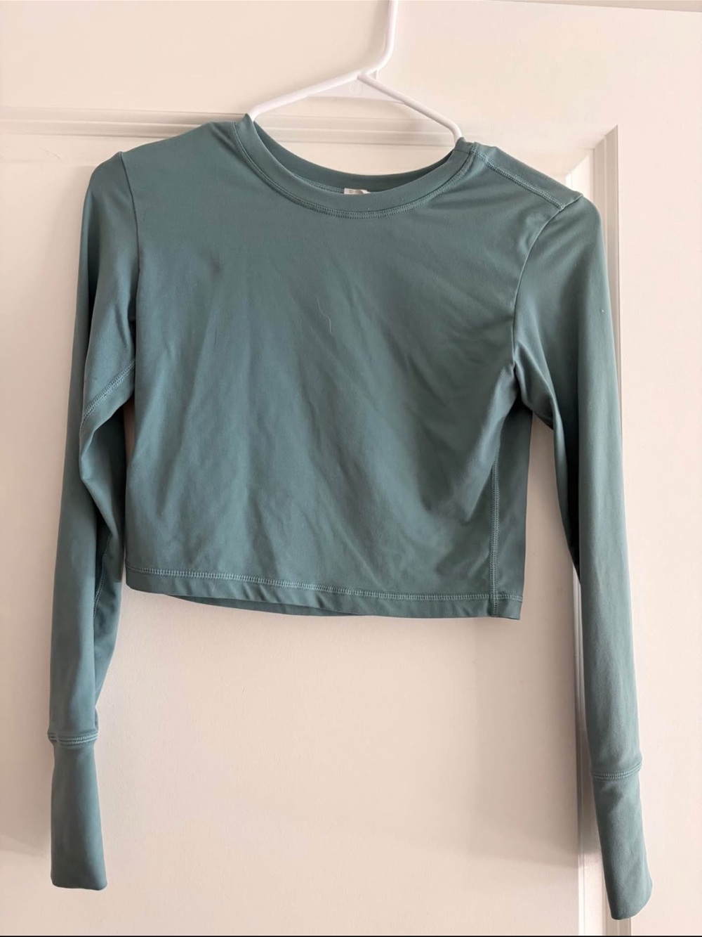 Paragon Fitwear Sage Cropped Long-Sleeve Crew Top